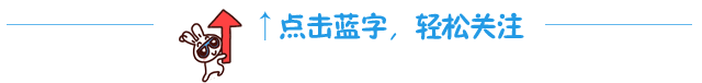 如何通过团队配合提高篮板成功率?_0