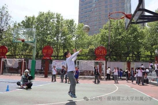 信息化设备如何提高篮球训练中的反馈速度_1
