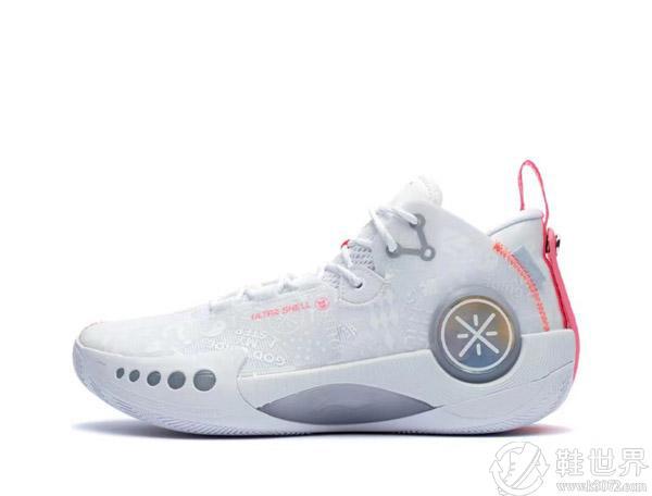 青少年篮球训练的影响因素及对策研究_2